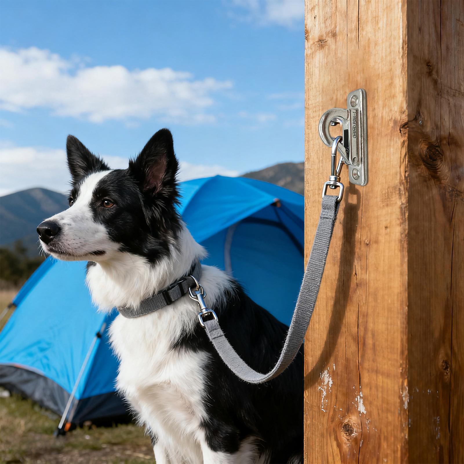 Dog Leashes Holder for Wall Pe - Security Chain Door recensie en prijs