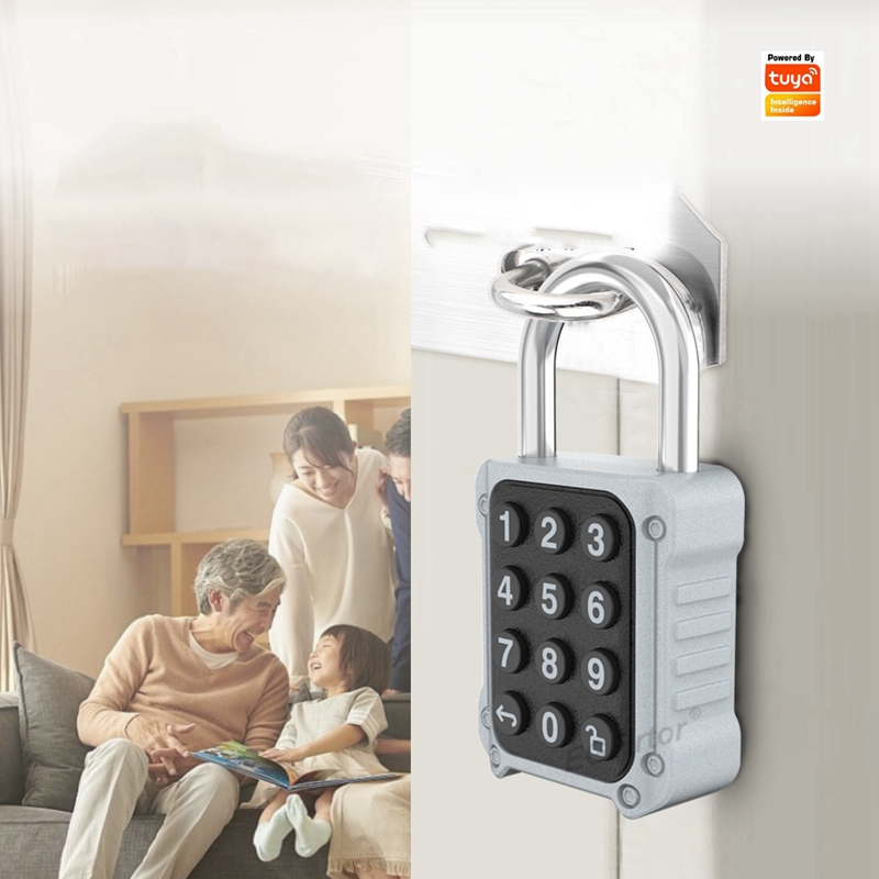 EGFirtor Tuya APP Electronic S - Lockbox Key Secure recensie en prijs