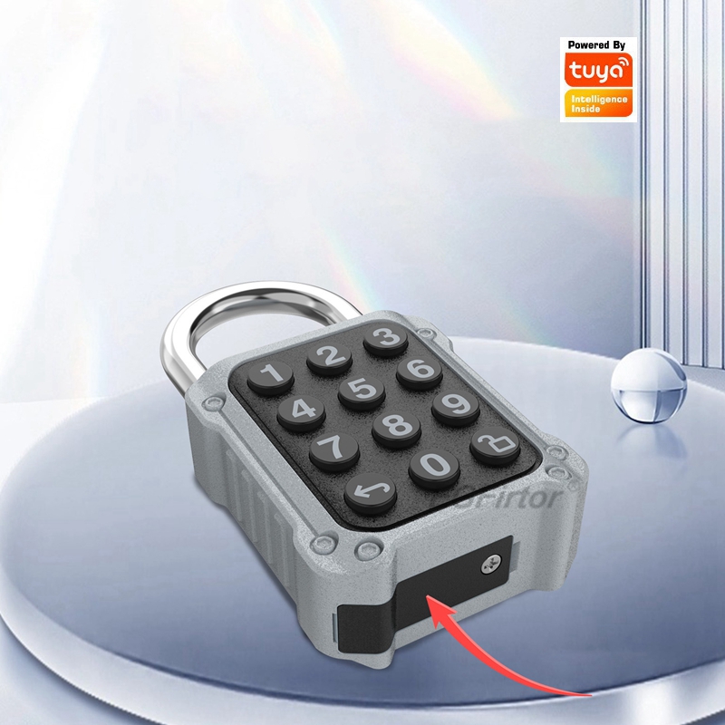 EGFirtor Tuya APP Electronic S - Lockbox Key Secure recensie en prijs